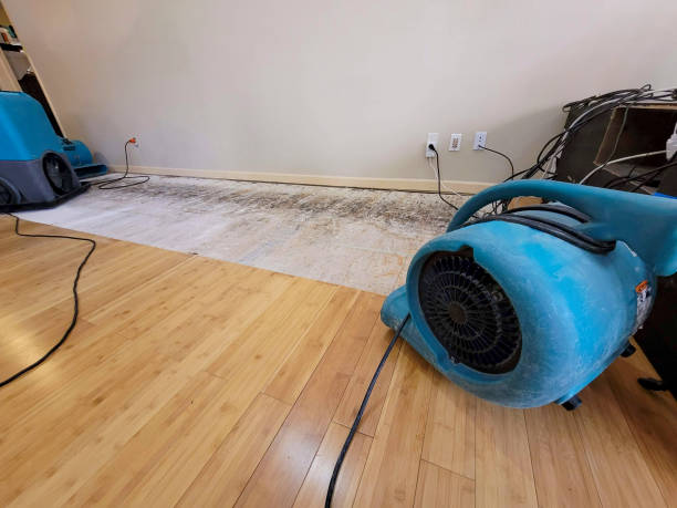 Professional Burst Pipe Water Damage technician working in Cosmopolis, WA